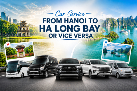 Car Service From Hanoi to Ha Long Bay Or Vice Versa. From Hanoi/Ha Long: Shared Limousine Bus Transfer - 1 Way