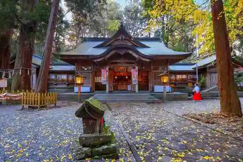 Fukuoka: Takachiho Gorge and Shrine Private Day Trip