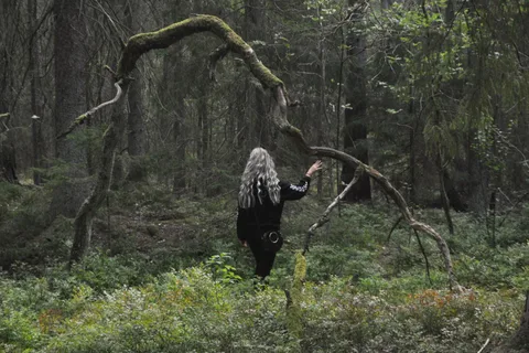 Baño de bosque en la naturaleza de Estocolmo con guía titulado