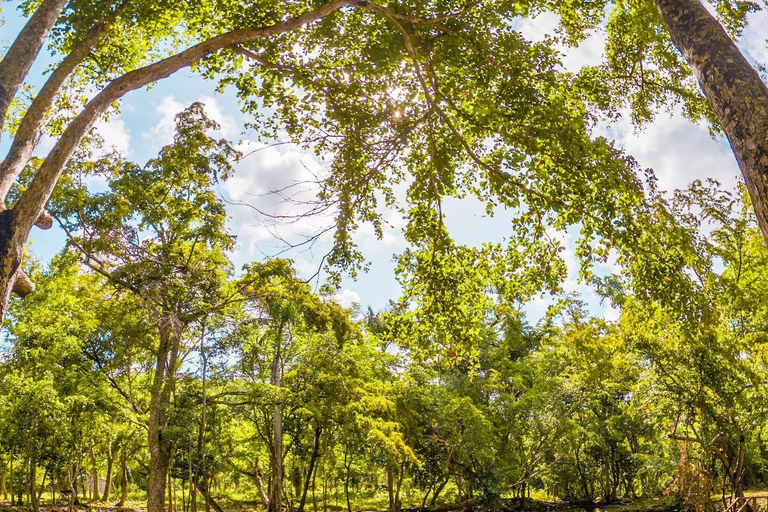 Punta Cana: Guided Eco Walk with Dominican Food Tasting
