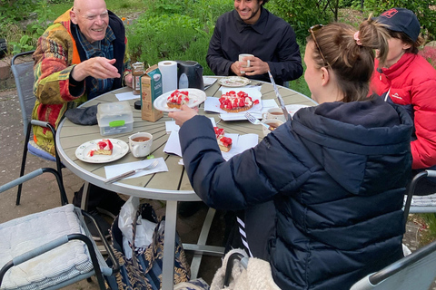 Aarhus: Dine in a Local Home with a Silver Host