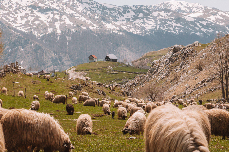 The loneliest village in Bosnia | Hike to Lukomir (from Sarajevo)