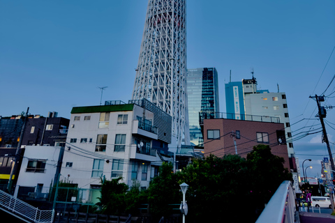 2 giorni di Tokyo e del monte Fuji Tour personalizzabile con autista inglese