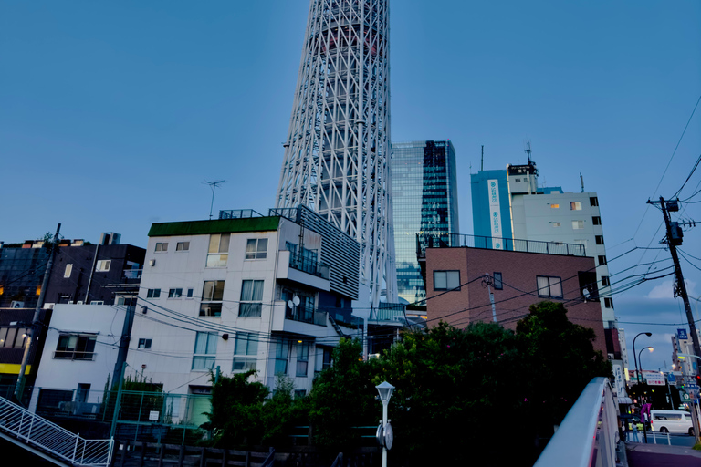 2 Días Tokio y Monte Fuji Tour Personalizado con Conductor Inglés