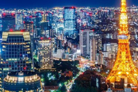 Tour privado de la ciudad de Tokio personalizado con conductor de habla inglesa