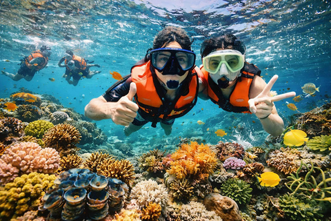 Cham Islands - Explore Islands Snorkelling Or Diving 2 Times Diving 1 Time By Speedboat