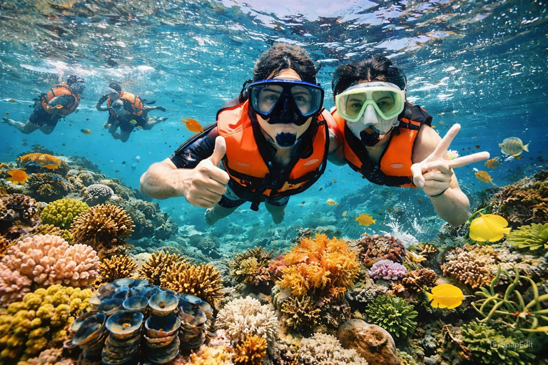 Cham Islands - Explore Islands Snorkelling Or Diving 2 Times Diving 1 Time By Speedboat