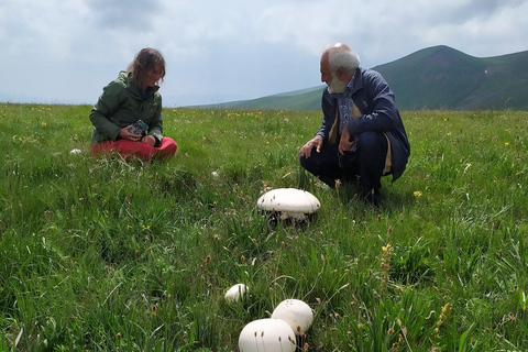Yerevan: Wild Herbs Foraging Experience in the Nature