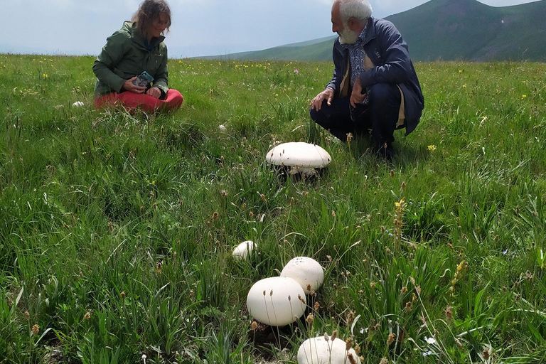 Yerevan: Wild Herbs Foraging Experience in the Nature