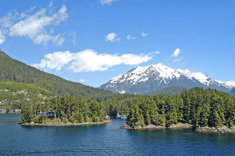 Sitka: Totem Poles, Raptor Centre, & Fortress of Bears Tour Sitka: Totem Poles, Local History and Fortress of Bears Tour