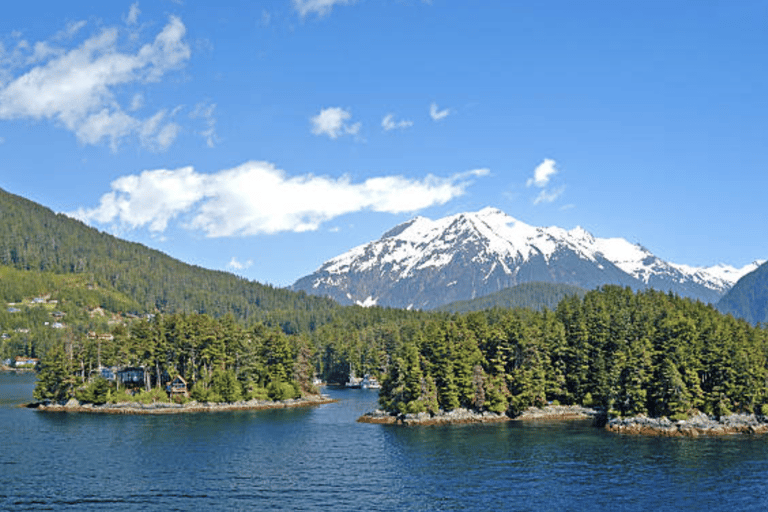 Sitka: Totem Poles, Raptor Centre, & Fortress of Bears Tour Sitka: Totem Poles, Local History and Fortress of Bears Tour