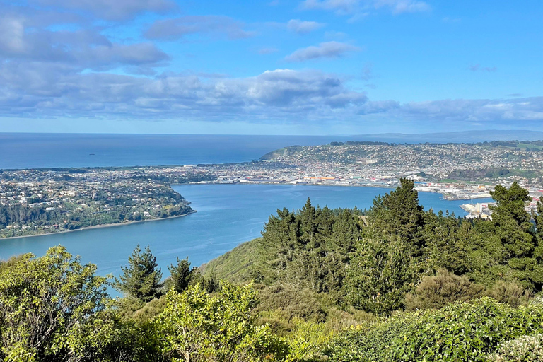 Dunedin City & Otago Peninsula Scenery Day Tour Private Tour