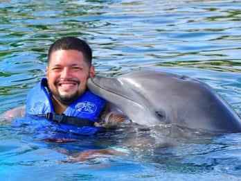 Puerto Plata Ocean World Nado con Delfines