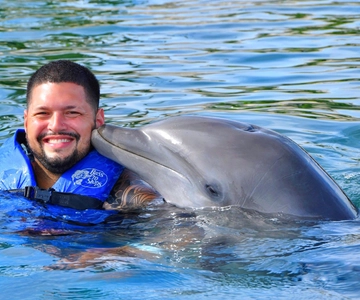 Puerto Plata Ocean World Dolphin Swim