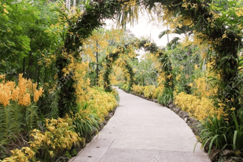Singapore: Guided Walking Tour of Chinatown & Botanic Garden