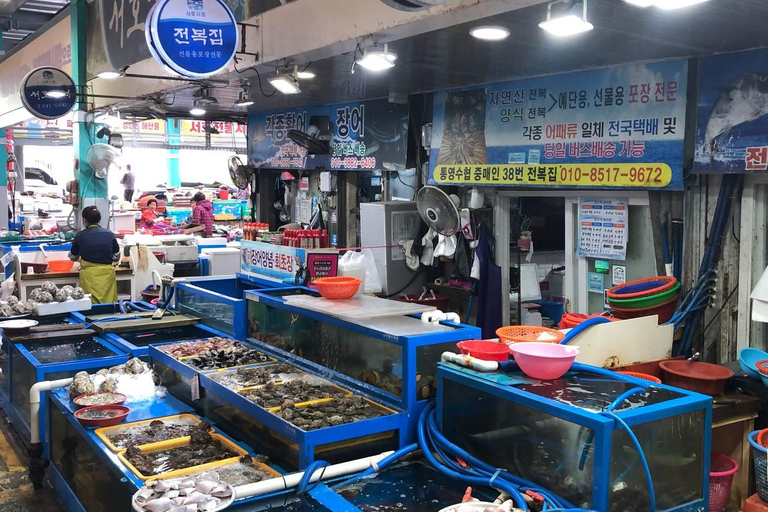 Desde Seúl: Excursión de 2 días a la Anchoa de Tongyeong