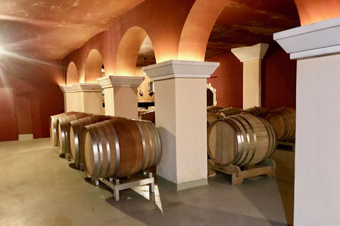 Nice City, Villefranche sur Mer and Wine Tasting