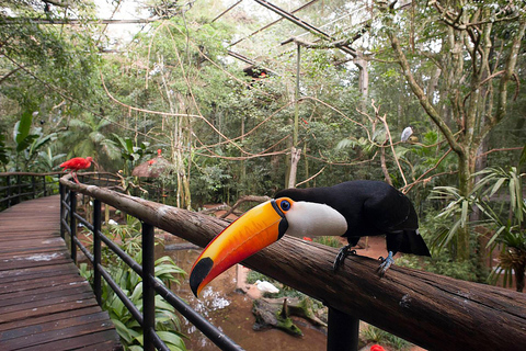 Waterfalls, Bird Park and Macuco Safari: Complete Experience