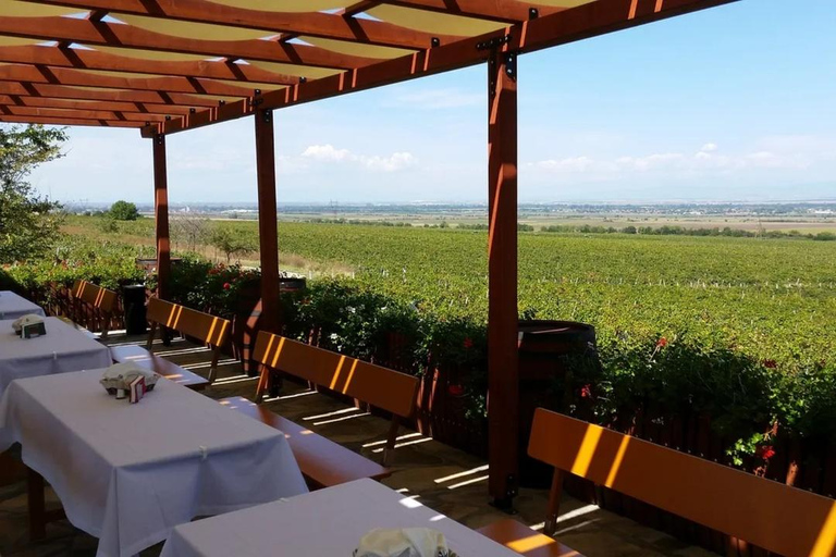 From Plovdiv: Thracian Heritage Wine Tasting & Lunch
