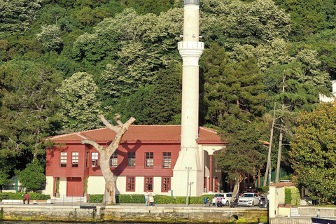 Bosphore d'Istanbul : croisière de 3 heures avec arrêt dans la partie asiatiqueBosphore : croisière guidée de 3 heures (sans repas)