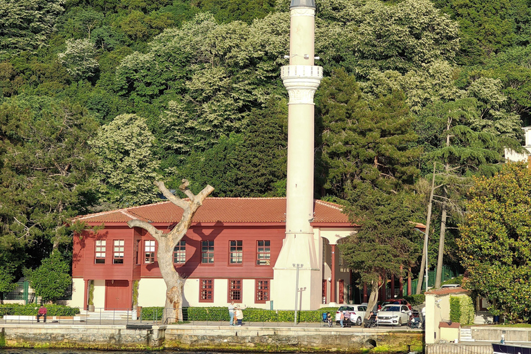 Bosphore d'Istanbul : croisière de 3 heures avec arrêt dans la partie asiatiqueBosphore : croisière guidée de 3 heures (sans repas)