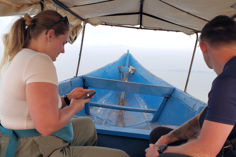 Mabamba swamp bird tours and shoebill trekking