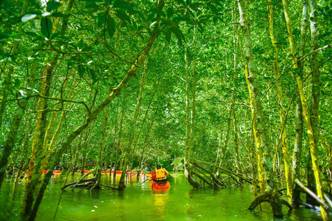 Krabi's Hidden Mangrove Kayak Tour Full Day Kayak + Massage spa