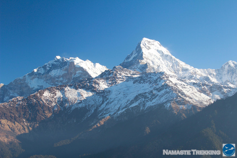 From Pokhara: 2-Day Short Poon Hill Trek