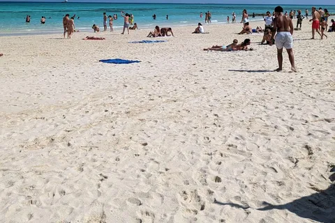 Nakupenda Sandbank Day Trip with Snorkeling & Seafood Lunch