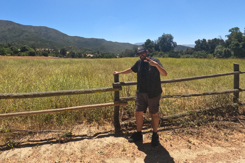 Curacaví Valley: Private Wine Tour of Viña Lopez Pangue and El Cuadro Curacaví Valley: Private Wine Route Tour - Viña Lopez Pangue and El Cuadro