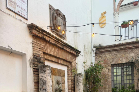 Córdoba Courtyards, Jewish Quarter and Synagogue Sightseeing Tour Cordoba's Courtyards, Jewish Quarter and Synagogue Sightseeing Tour