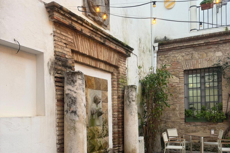Córdoba Courtyards, Jewish Quarter and Synagogue Sightseeing Tour Cordoba's Courtyards, Jewish Quarter and Synagogue Sightseeing Tour