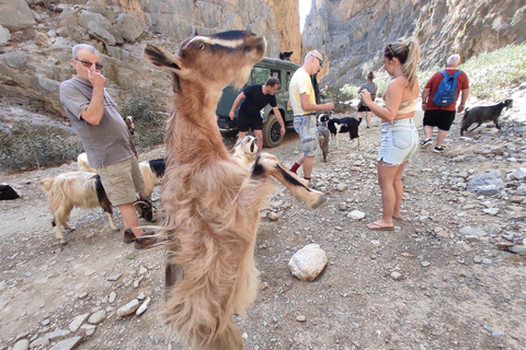 Kreta: Trypiti Gorge en Zuid-Kretenzische zee Safari