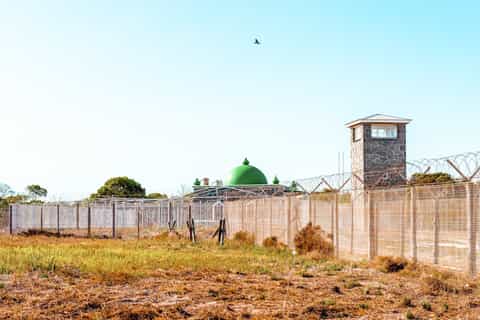 Cape Town: Robben Island Ferry Tour with 1-Way Hotel Pickup