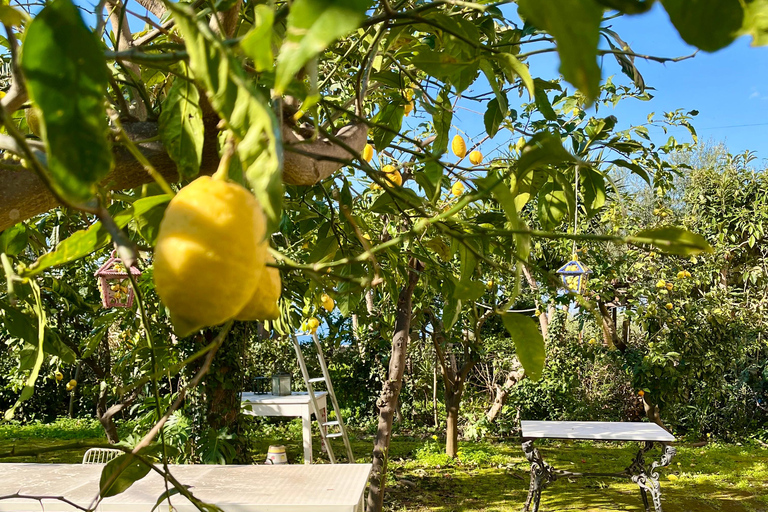 Sorrento: Cooking with a Local Chef & Wine Pairing by the Sea