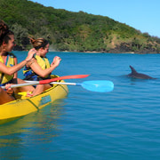 Rainbow Beach: Kayaking with Dolphins and Beach 4WD Tour