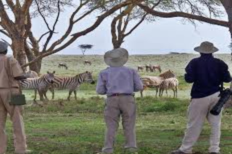 From Nairobi: 4-Day Naivasha and Masai Mara Luxury Safari