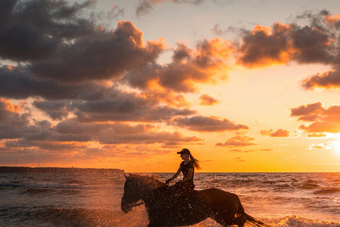 Djerba – Paardrijden naar het eiland van de flamingo&#039;sDjerba - Paardrijden naar het Roze Flamingo-eiland