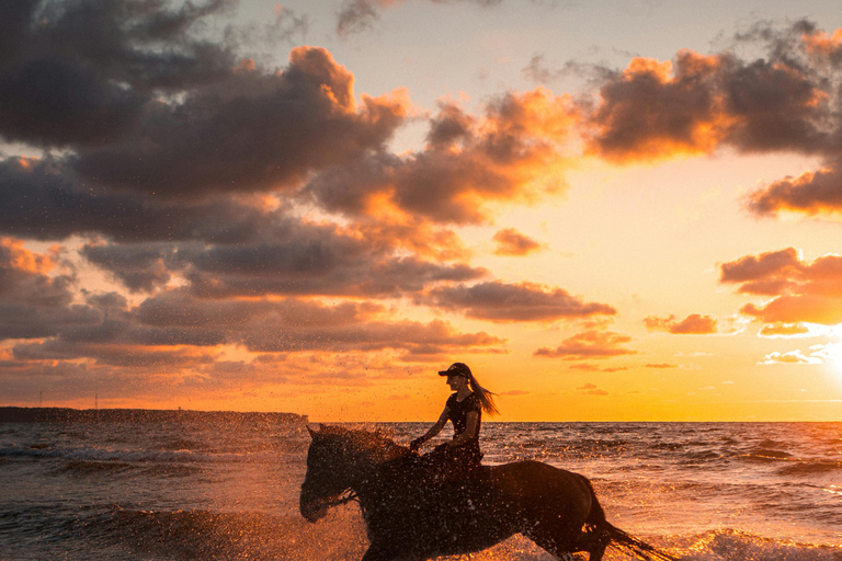 Djerba – Paardrijden naar het eiland van de flamingo&#039;sDjerba - Paardrijden naar het Roze Flamingo-eiland