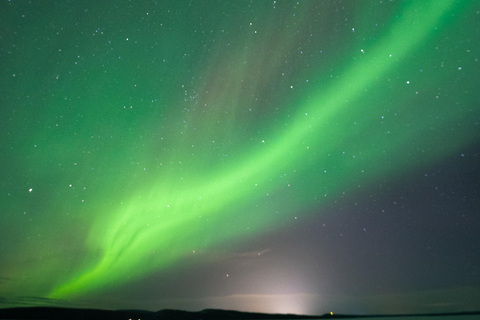 Rovaniemi Insider: Night train in Winter Forest