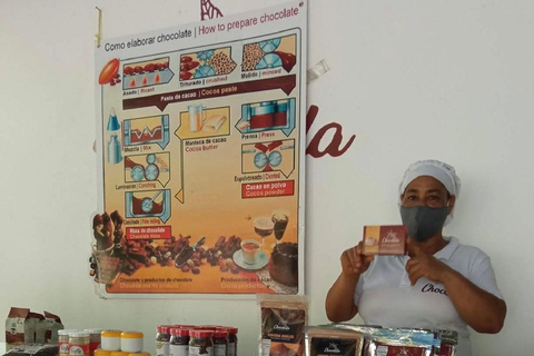 Puerto Plata: City Tour, Plantation, and Chocolate Factory