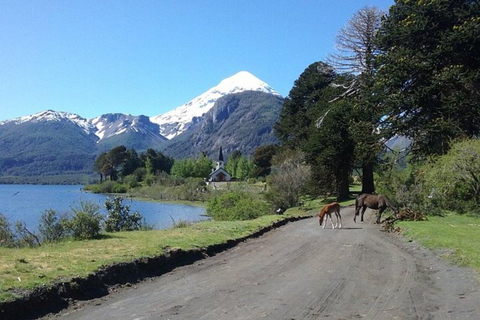 San Martín de los Andes: Lake Huechulafquen and Lanín Volcano