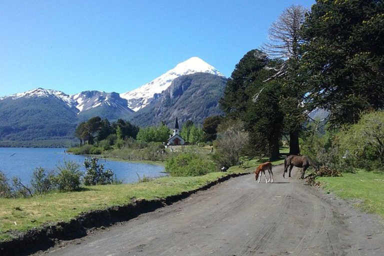San Martín de los Andes: Lake Huechulafquen and Lanín Volcano