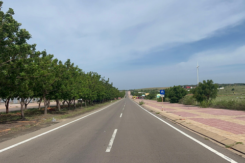 Mui Ne : Dunes de sable blanc et randonnée en quad sur la plageTour en voiture