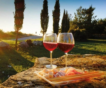 De Siena: Viagem de 1 dia a San Gimignano, Chianti e Montalcino
