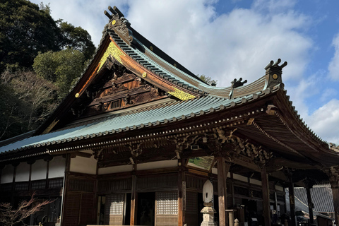 Sacred Miyajima: Journey to the Floating Torii