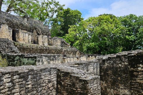 From Flores: Tikal Experience, Exclusive Tour