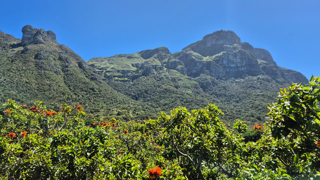 Kirstenbosch Botanical Garden Walk