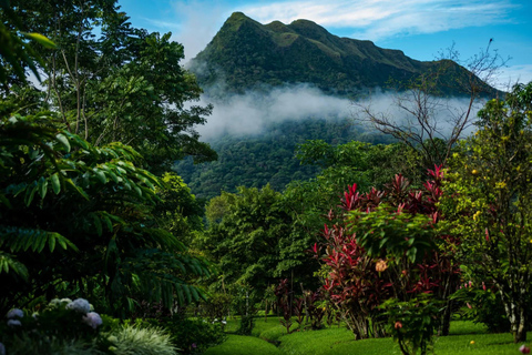 Valle De Anton : sources d&#039;eau chaude sous la pluie et visite de la nature