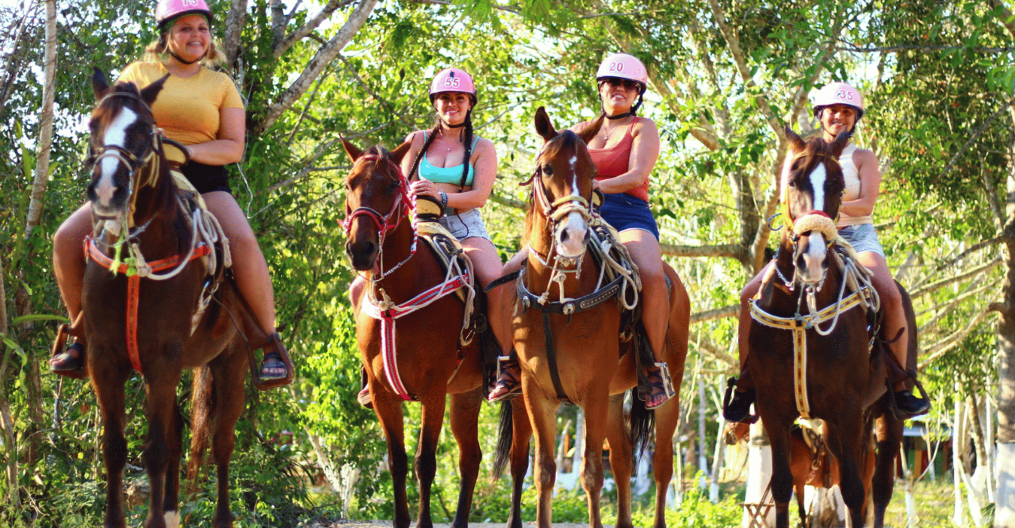 ATV Ziplines Cenote Tequila Tasting and Horseback Riding - Housity